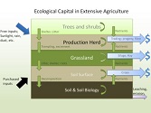Developing the Ecological Balance Sheet for Agricultural Sustainabiliy